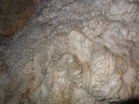2017 Nouvelle-Zelande-9-Waitomo Caves 16