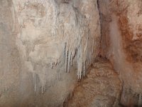 2017 Nouvelle-Zelande-9-Waitomo Caves 17