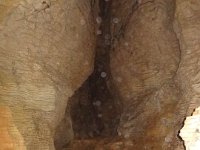2017 Nouvelle-Zelande-9-Waitomo Caves 19