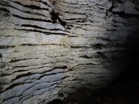 2017 Nouvelle-Zelande-9-Waitomo Caves 21