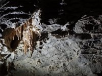 2017 Nouvelle-Zelande-9-Waitomo Caves 22