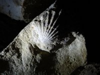2017 Nouvelle-Zelande-9-Waitomo Caves 24