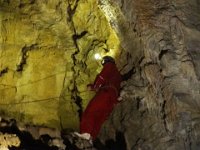 2017 Nouvelle-Zelande-9-Waitomo Caves 25