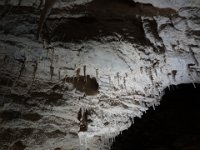 2017 Nouvelle-Zelande-9-Waitomo Caves 32