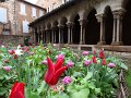 2012_Albi_49