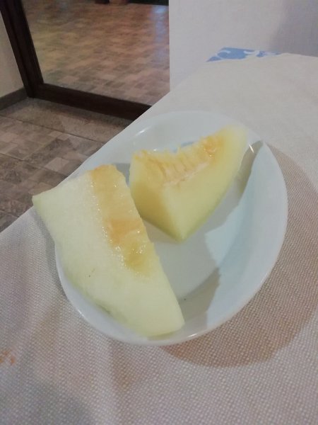 2021_SARDAIGNE-2-HEBERGEMENT ET REPAS-Martis-Agriturismo Carrucana_16-melon local
