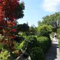 2020_Geneve-1_bord_du_lac_40