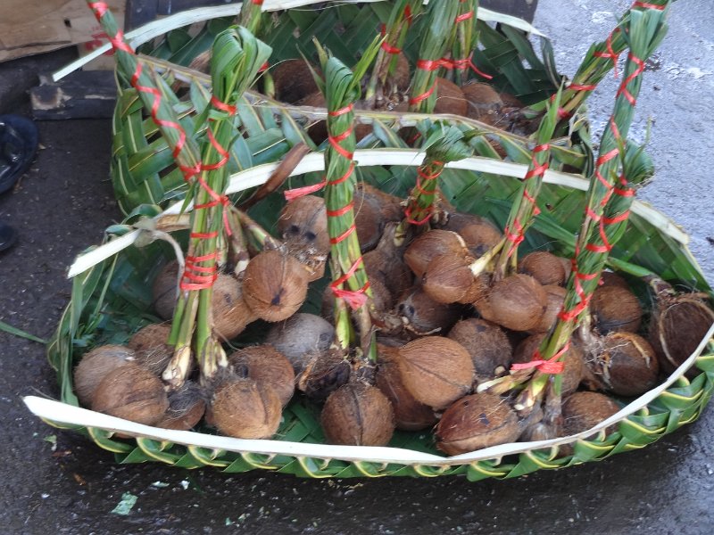 2017_Vanuatu_Efate_Port_Vila_marche_05