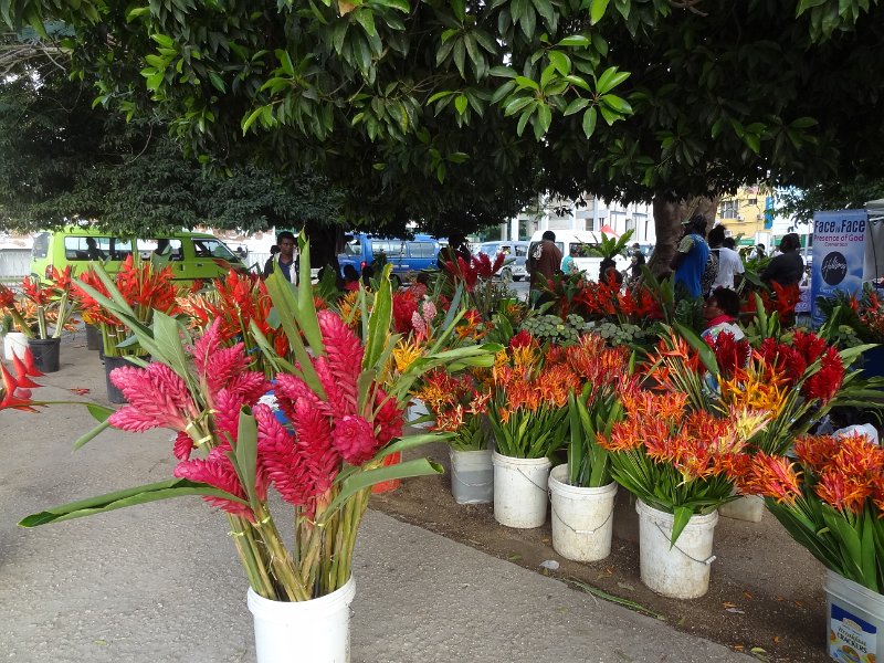 2017_Vanuatu_Efate_Port_Vila_marche_13