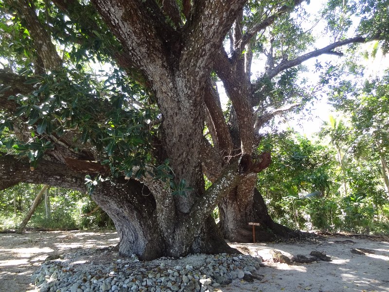 2017_Vanuatu_Efate_Roi_Mata_08
