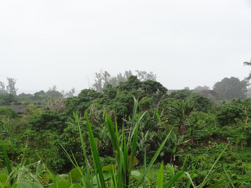 2017_Vanuatu_Efate_bord_de_mer_16