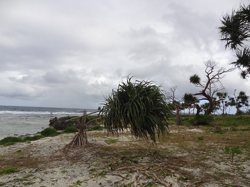 2017_Vanuatu_Efate_bord_de_mer_19