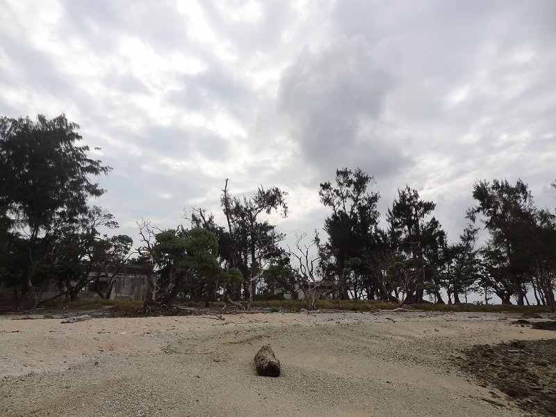 2017_Vanuatu_Efate_bord_de_mer_65