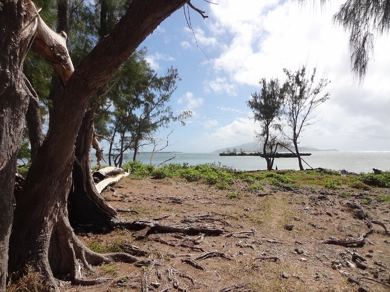2017_Vanuatu_Efate_bord_de_mer_71