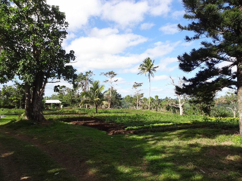 2017_Vanuatu_Efate_cascade_Lolima_environs_13