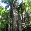 2017_Vanuatu_Efate_Roi_Mata_15