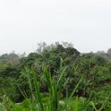 2017_Vanuatu_Efate_bord_de_mer_16