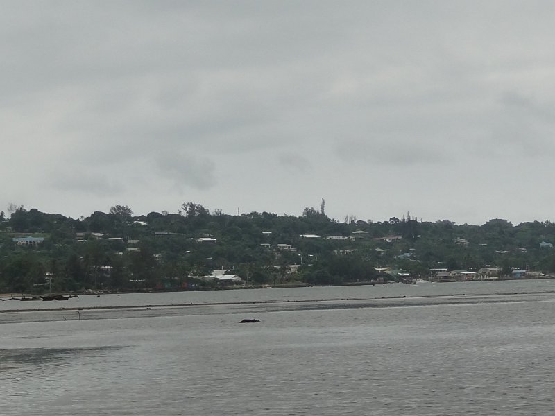 2019_Vanuatu_Santo_Luganville_48