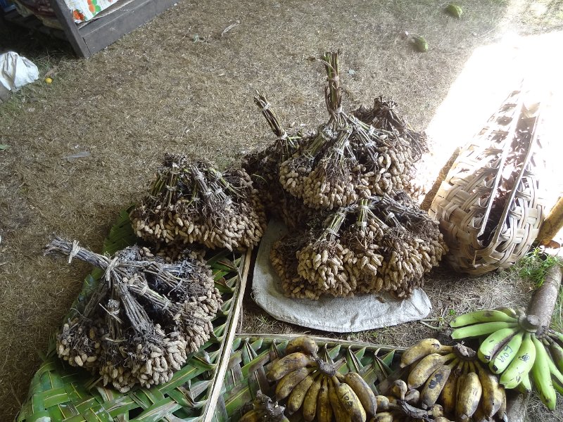 2019_Vanuatu_Santo_Luganville_marche_05