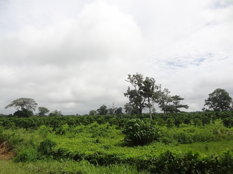 2019_Vanuatu_Santo_cote_est_04