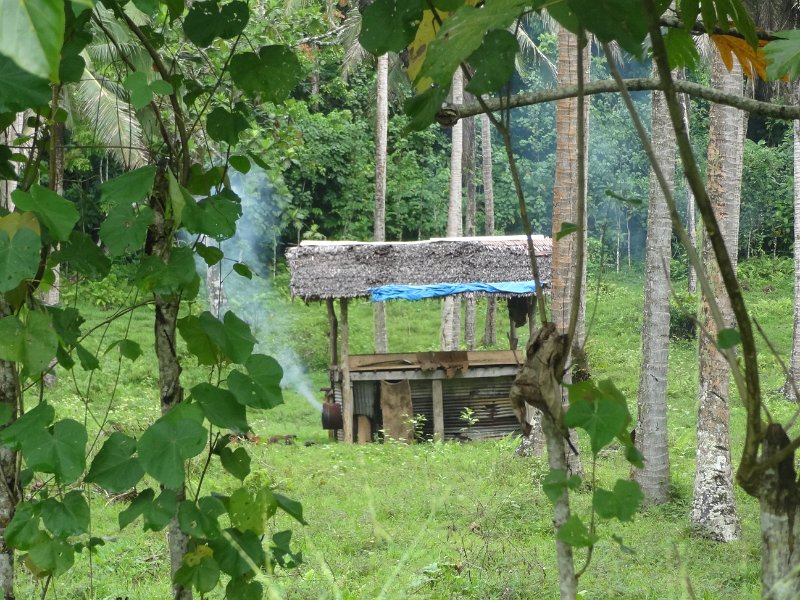 2019_Vanuatu_Santo_cote_est_05