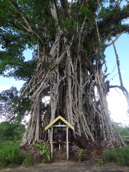 2019_Vanuatu_Santo_cote_est_Port_Olry_11