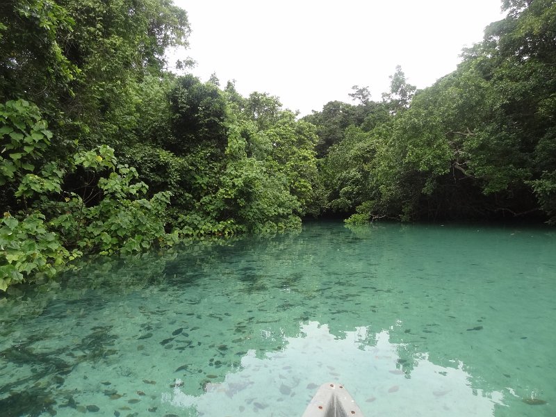 2019_Vanuatu_Santo_cote_est_trous_bleus_17