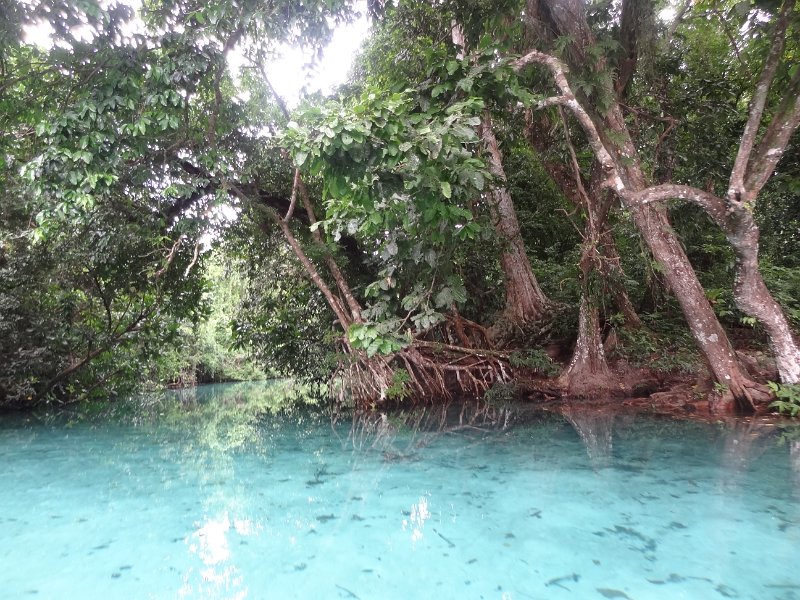 2019_Vanuatu_Santo_cote_est_trous_bleus_27