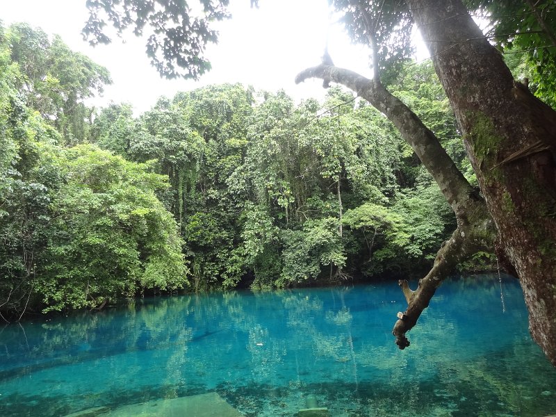 2019_Vanuatu_Santo_cote_est_trous_bleus_28
