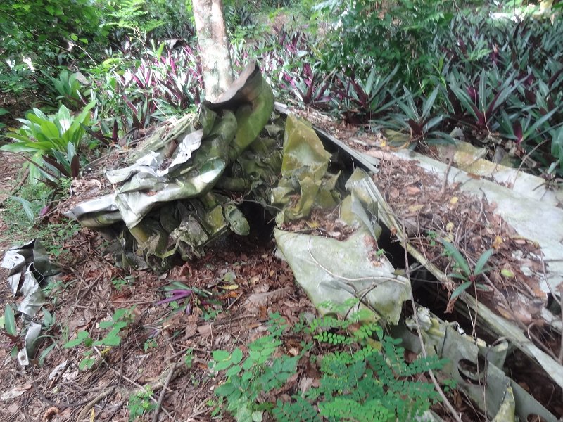 2019_Vanuatu_Santo_restes_guerre_Pacifique_23