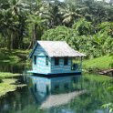 2019_Vanuatu_Santo_cote_est_trous_bleus_12