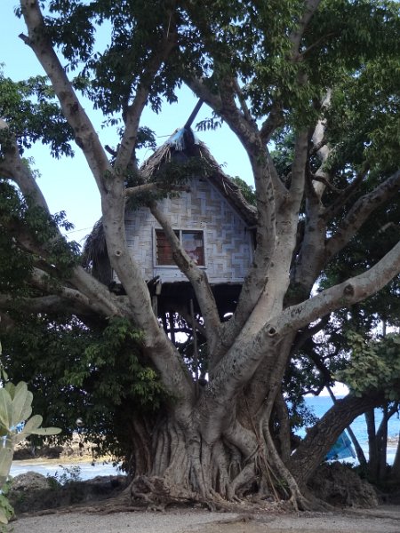 2017_Vanuatu_Tanna_Lenakel_02