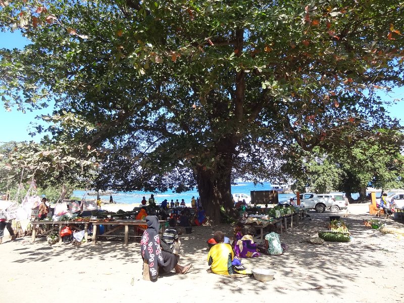 2017_Vanuatu_Tanna_Lenakel_14