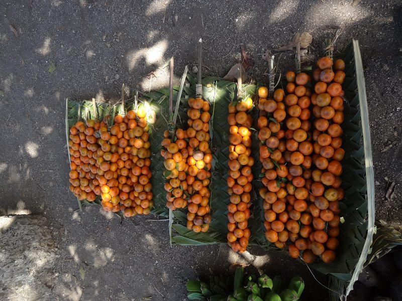 2017_Vanuatu_Tanna_Lenakel_16