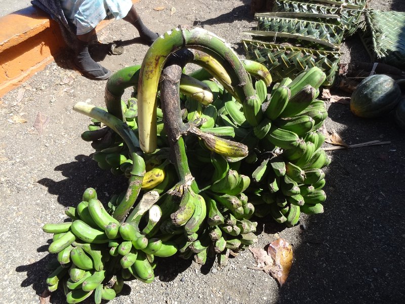 2017_Vanuatu_Tanna_Lenakel_18