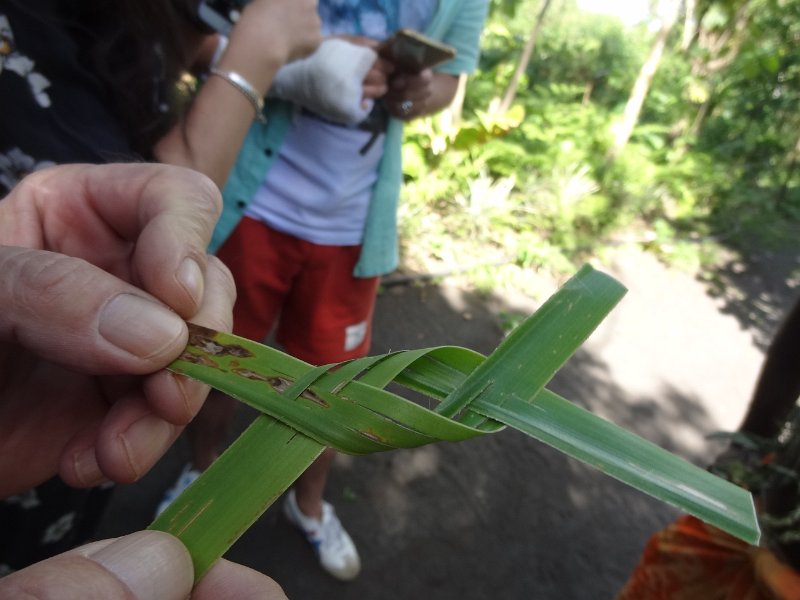 2017_Vanuatu_Tanna_black_Magic_Tour_19