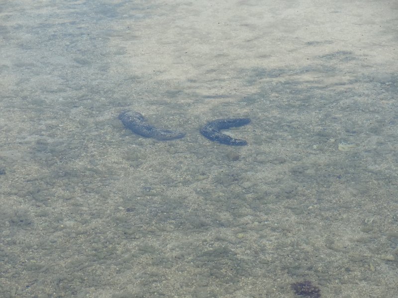 2017_Vanuatu_Tanna_hotel_environs_06