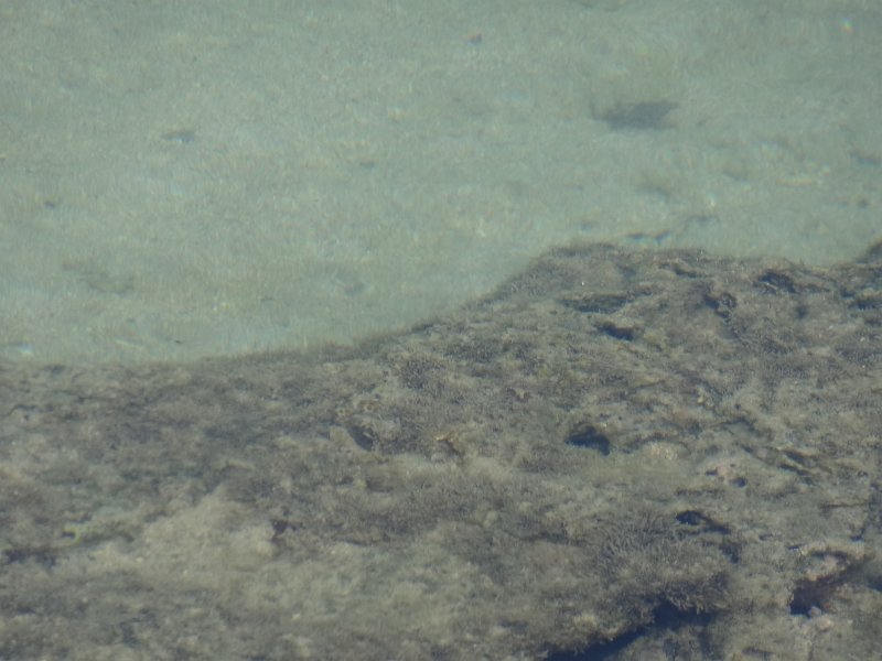 2017_Vanuatu_Tanna_hotel_environs_08