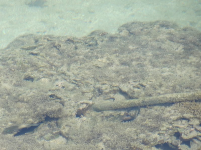 2017_Vanuatu_Tanna_hotel_environs_09
