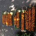 2017_Vanuatu_Tanna_Lenakel_16