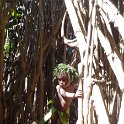 2017_Vanuatu_Tanna_black_Magic_Tour_06