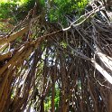2017_Vanuatu_Tanna_black_Magic_Tour_07