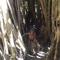 2017_Vanuatu_Tanna_black_Magic_Tour_09