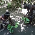 2017_Vanuatu_Tanna_black_Magic_Tour_11