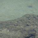 2017_Vanuatu_Tanna_hotel_environs_08