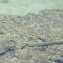 2017_Vanuatu_Tanna_hotel_environs_09