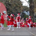 2018_Albanie-1-Tirana-10-noel_86
