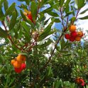 2018_Albanie-10-de_Vlora_a_Saranda_07