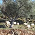 2018_Albanie-10-de_Vlora_a_Saranda_23