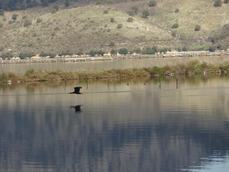 2018_Albanie-11-Butrint_114